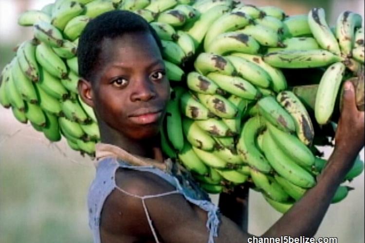 Young boy make a living around the City Market