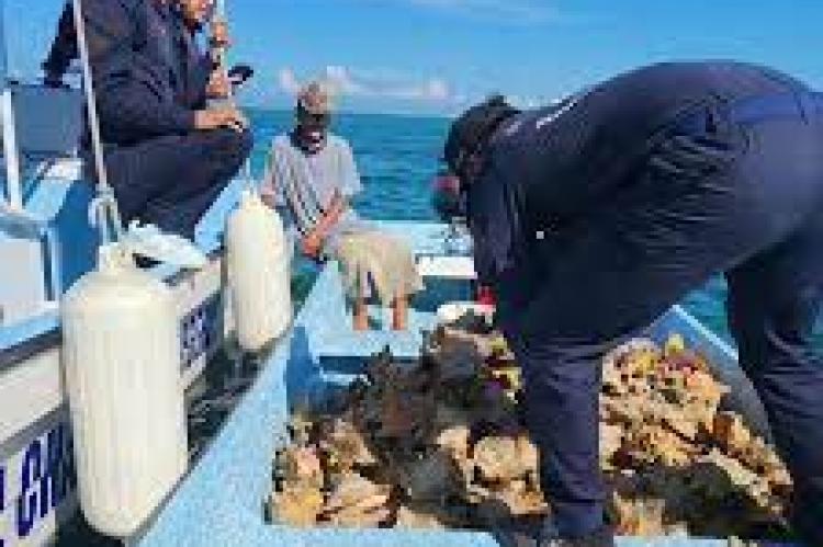 Holchan Reserve personel encounters fisher's boat