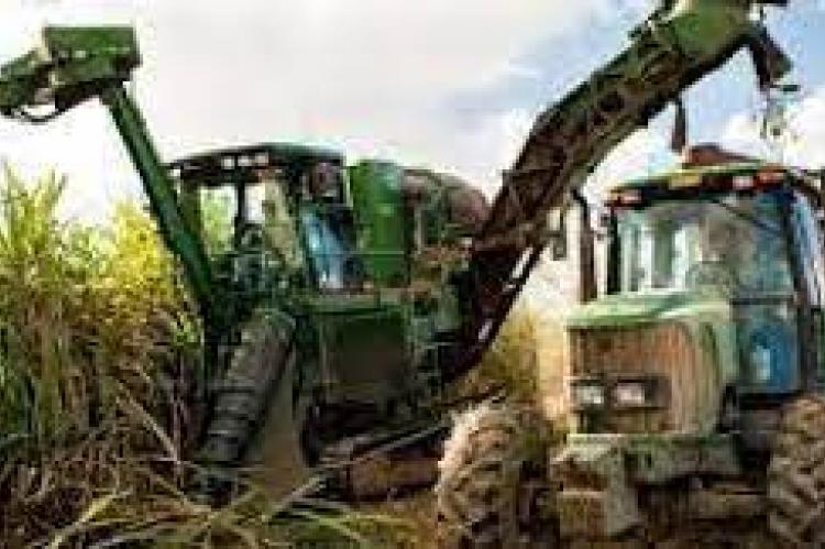 Santander Harvesting equipment for cane