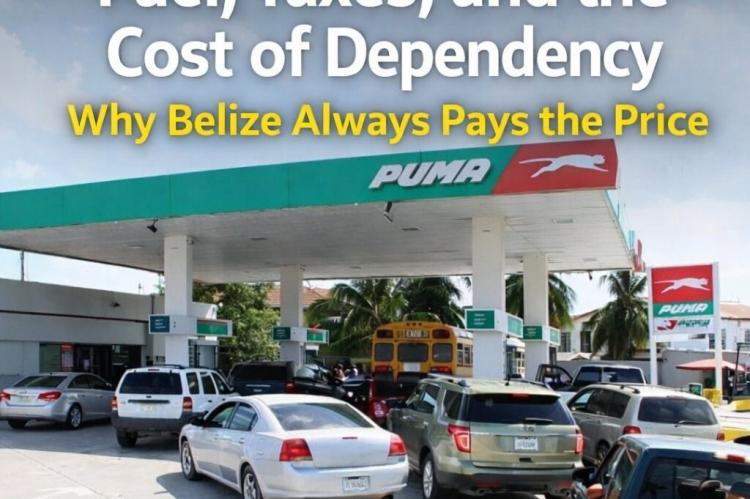 NP Headline Image