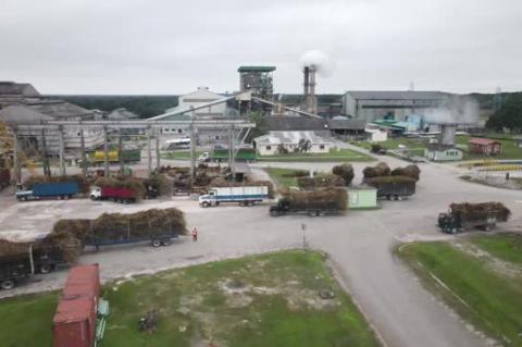 ASR/BSI Sugar Industry