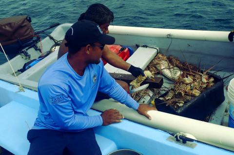 Fisheries Department approaching Fisher's boat 