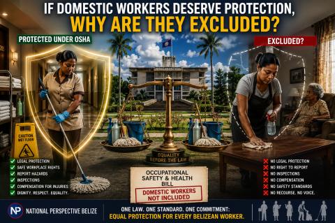 IF DOMESTIC WORKERS DESERVE PROTECTION.Image
