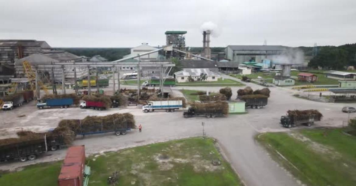 BSI/ASR Tower Hill Sugar Complex