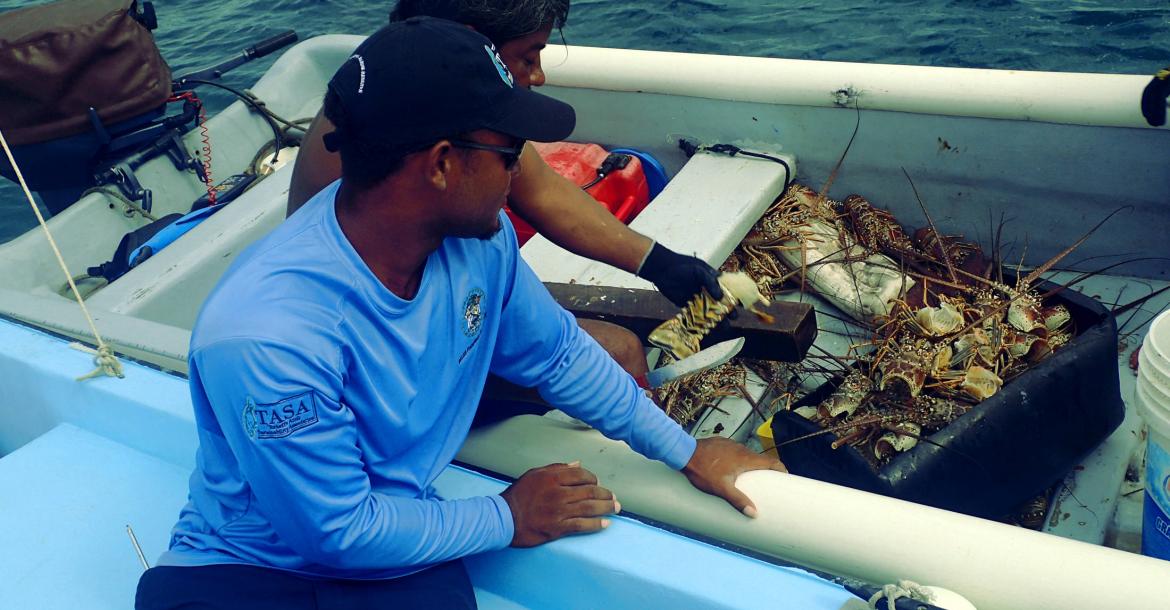 Fisheries Department approaching Fisher's boat 