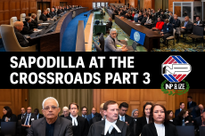 SAPODILLA.ICJ.Headline Image