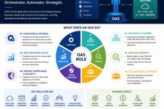 The OAS Role.Image