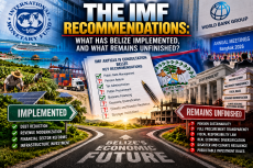 The IMF Recommendations.Image