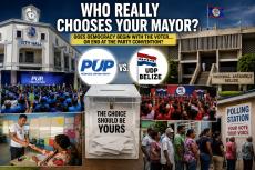 Who Really Chooses Your Mayor.Image